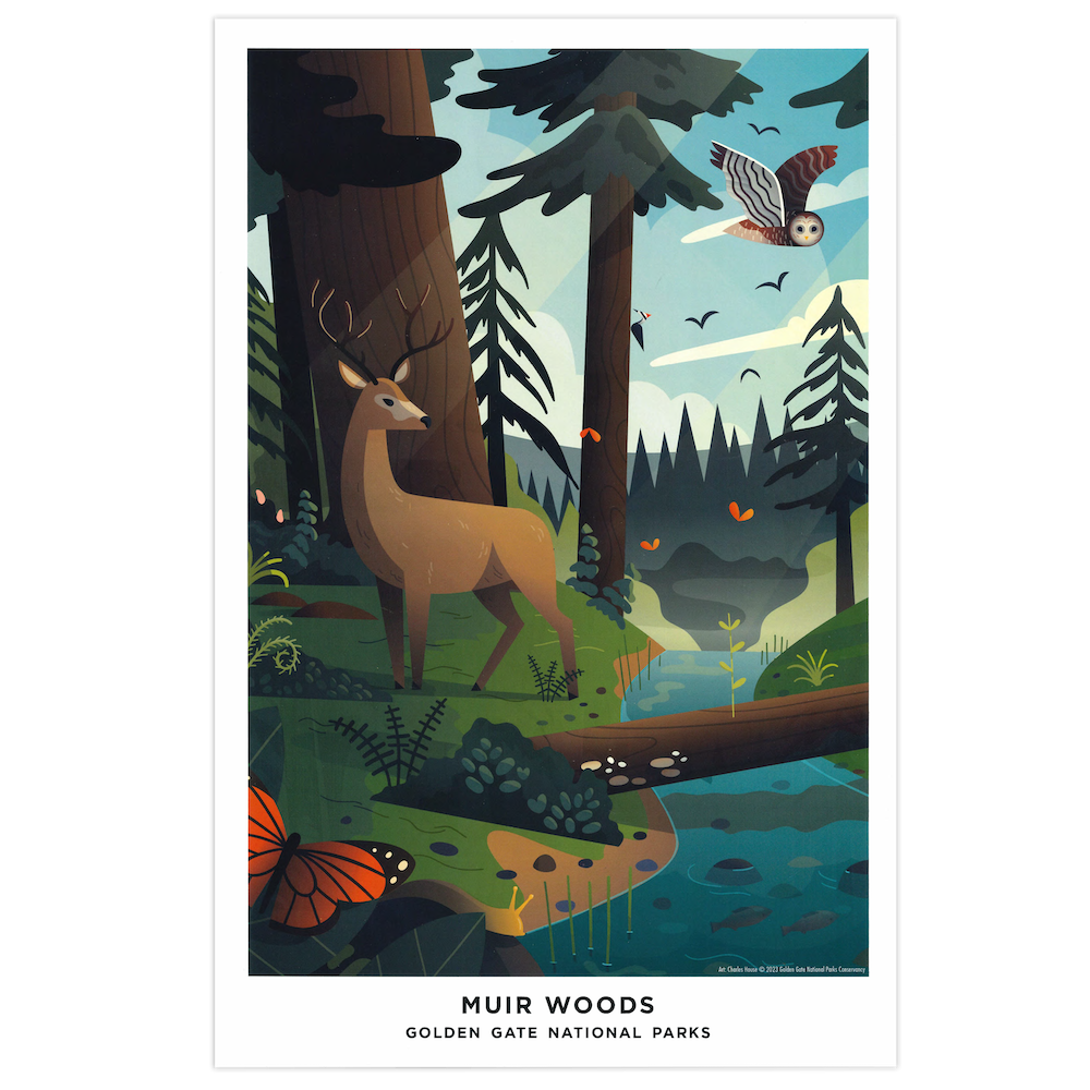 An illustrated art print of Muir Woods featuring a deer, trees, and a stream with various forest animals and monarch butterflies.